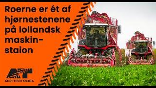  Roerne er ét af hjørnestenene hos Lollandsk maskinstation