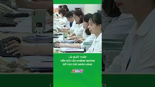 Lãi suất thấp, tiền gửi vẫn không ngừng đổ vào các ngân hàng #shorts