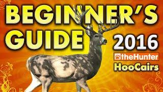 Beginner's Guide 2016 - theHunter Classic