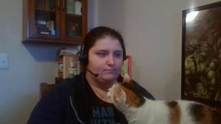 Teleworking with Cats