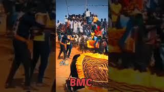 || BMC Thanga Thalapthy || MS Creations || hori habba || Hosur Jallikattu ||