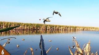 SOLO Hunt in a FLOODED CORNFIELD! (Limited Out) | 28 Gauge Duck Hunting