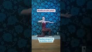 Mobilita hrudní páteře CZ