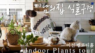 Indoor plants tour house tour Korea 'BellothHome' part1