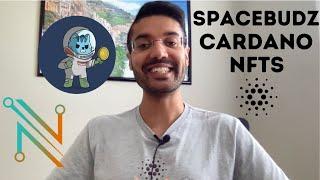 My Spacebudz Experience - First Cardano NFT Smart Contract Purchase!