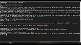 BMC Helix Control-M: Configuring the Automation API command line interface