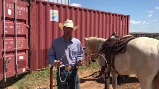 Steer Roping Instructional Video 3 Equipment