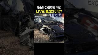 테슬라 자율주행 FSD 나무로 돌진한 이유?