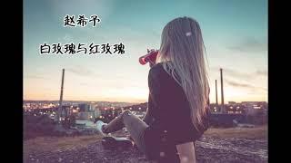 赵希予 - 白玫瑰与红玫瑰 「我爱你你爱她她是谁的她 她爱的那个他 藏在心里呀」【高音质|动态歌词Lyrics】