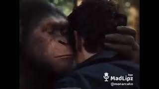 Lavate el cul0 que hoy te toca  ( Planeta de los Simios )