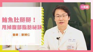 鮪魚肚、脂肪肝掰掰！醫師傳授不吃藥甩掉腹部脂肪的祕訣 @GoodFood-nt1hz