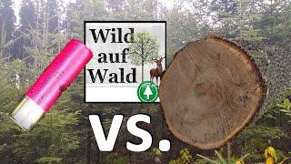 So geht es weiter mit Wild auf Wald!