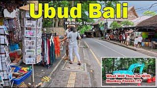 Ubud Walking Tour..!! How Is This Area In Ubud Bali Now..???