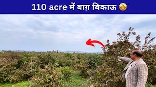 110 acres farm with fruit planted  for sale in near PunjabVideo no: 179