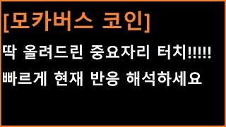 [모카버스 코인] 딱 중요자리 터치한 시점;;;;; 반응을 해석해야 다음 시나리오를 그리겠죠?