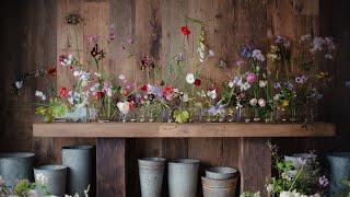 The garden has EXPLODED into colour! Iris, roses, sweet peas and more