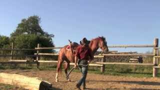 Mounted Archery / Horse Training