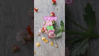 #장민 #창부타령