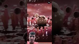 md irshad tiger