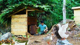 2 months off grid in forest,build coop raise duck,build life that lasted hundreds of years in forest