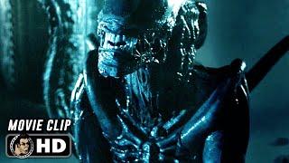 AVP: ALIEN VS. PREDATOR Clip - "Xenomorph Kills Predator" (2004)