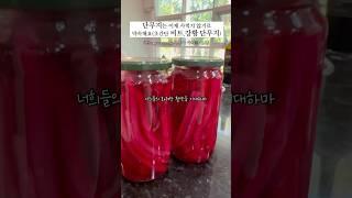 초간단 비트,강황 단무지 #도시락#김밥#단무지만들기