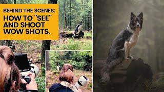 DOG PHOTOGRAPHY Forest Photoshoot - Covering how to find scenes within a location