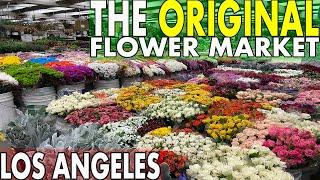 The Original Los Angeles Flower Market Tour | Watch This Before Your Visit! 【4K】 60fps