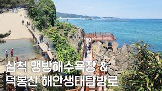 강원도 삼척 맹방해수욕장 & 덕봉산해안생태탐방로 완전정복