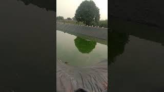 Agri geo शेततळे #farmer's #pondliner # agri-geo