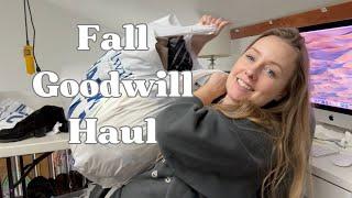 Big Goodwill $2 Day Haul | What I'm Buying To Sell On Ebay, Poshmark & Mercari