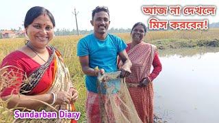 আজ প্রথম মাঠ পুকুর ভেঙে কত মাছ ধরা হলো দেখুন! Sundarban Diary