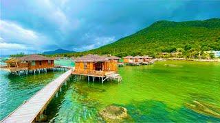 Rock Beach Boutique Cây Sao Hàm Ninh Phú Quốc 2022  Bungalow Hướng Biển Xịn Xò Đẹp Vô Cùng Đẹp