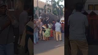 Srirangam temple   #arrahman #love #music #movie #rooparuby