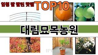 가장 많이 팔린 대림묘목농원 추천 Top10!