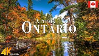 Autumn Ontario 4K Ultra HD • Stunning Footage Ontario, Scenic Relaxation Film with Calming Music.