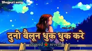 #lofi"Duno Balloon Dhuk Dhuk Kare||slowed + reverb ||दुनो बैलून धुक धुक करे ||Golu#gold #youtube