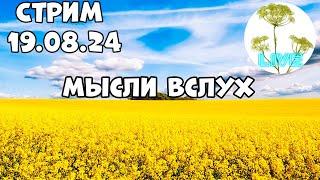 Стрим 19.08.2024 Мысли вслух