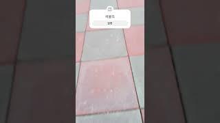 버블리