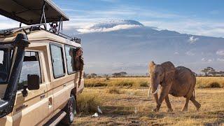 Ultimate Amboseli Safari Guide (Elephant Paradise in Kenya)