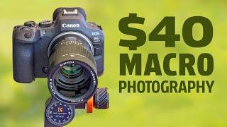 X2D & Full-Frame Budget Macro Photography | $40, $120, $320.