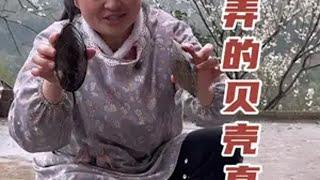 川南和婆婆捡回来很多贝壳，没想到把它这样简单的处理一下，贝壳的味道就特别鲜美，真是让人回味无穷！新农人计划2025抖音乡村生活家