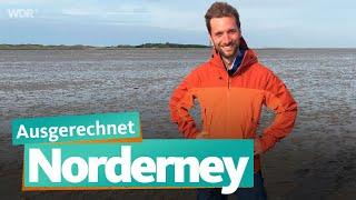 Ausgerechnet Norderney | WDR Reisen