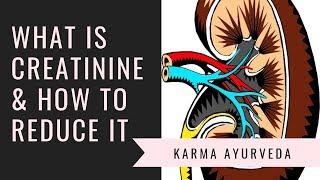 Karma Ayurveda explaining what is creatinine and how to reduce It ?