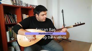 Cevizin Yaprağı Dal Arasında - Sercan Baş (Canlı Performans)