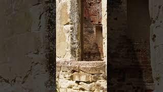  Wimpole Castle 