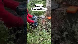 Baum fällen mit Forstreich und Makita