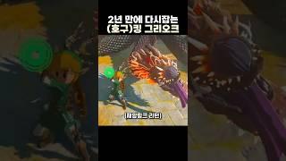 2년 만에 돌아온 재앙링크의 킹 그리오크 사냥 [젤다의 전설 티어스 오브 더 킹덤]