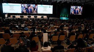 $300 billion-a-year climate deal reached at COP29 summit