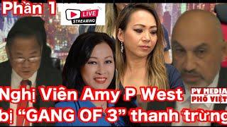 PV Media live! Nạn nhân Amy Phan West Phiên Đấu Tố tệ hại nhất lịch sử TP Westminster (1of2)